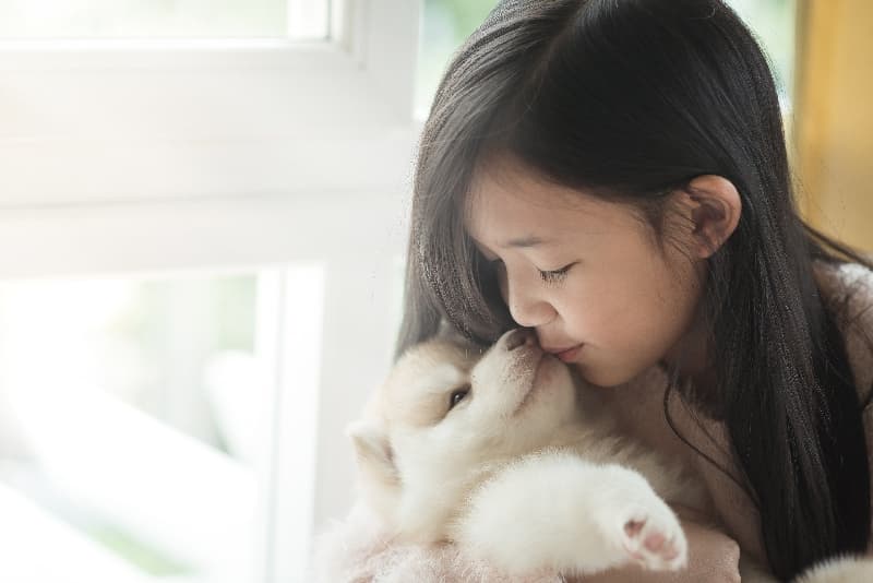 태안유기견센터 입양 대기견 — 실제 보호소 사진 9